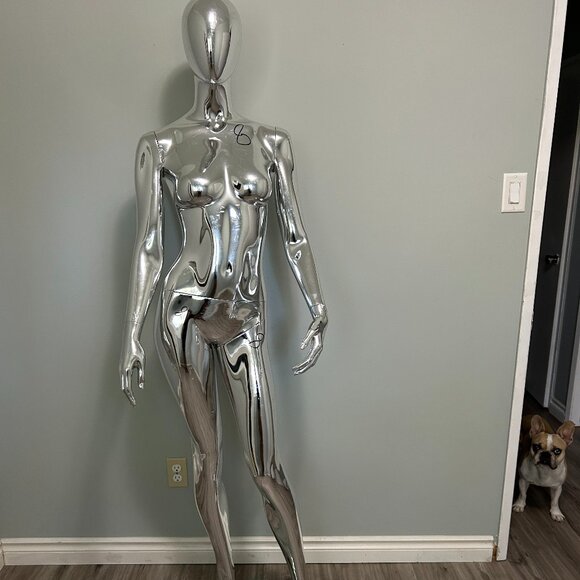 Mannequin Silver - Picture 1 of 10